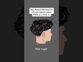 DIFFERENT TYPES OF FADES Skinfade Lowfade Taperhaircut Taper
