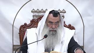 הרב ישי פרי שליט״א |שיעור אור החיים | פרשת כי תשא תשפ״ו