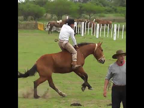Monta en clina lo MANOTEA justo en Colonia Mascias Santa Fe