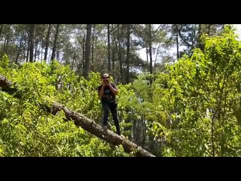 bayar-hutang-cik-mikir-hutang-kebawa-mati