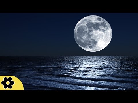 8 Hours Music for Sleeping, Soothing Music, Stress Relief, Go to Sleep, Background Music, ✿118C