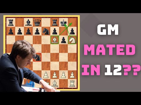 GM MATED in 12 Moves? Andreikin vs Karjakin