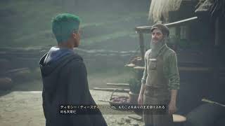 ホグワーツレガシー　垂れ流し配信