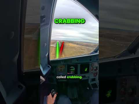 Airplane Crabbing in Crosswind Explained | @gregorykovalev1991