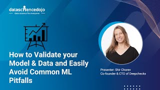 ML Validation/Testing - How to Validate your Model & Data and Easily Avoid Common ML Pitfalls
