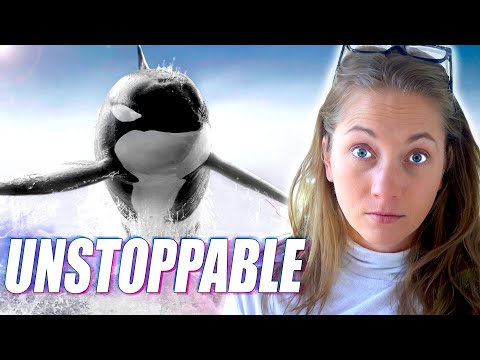 A New Species of Killer Whale is Changing Marine Biology