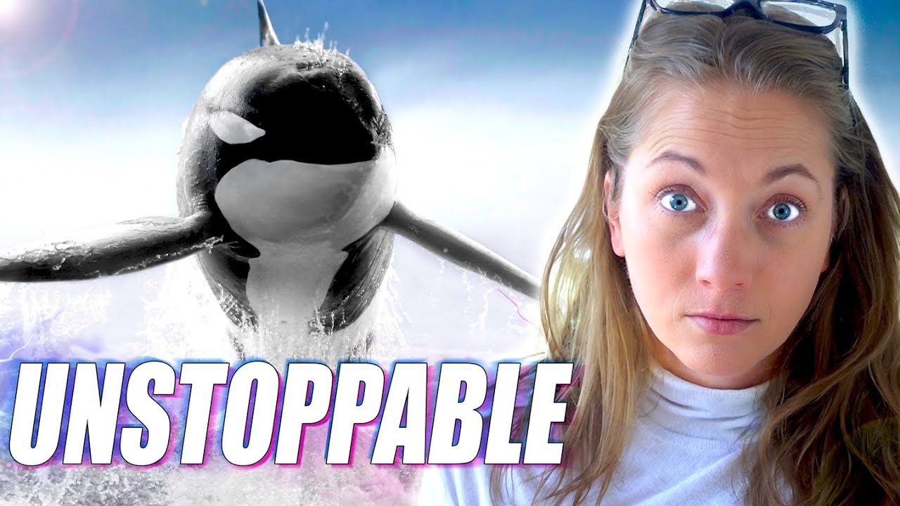 A New Species of Orca is Changing Marine Biology