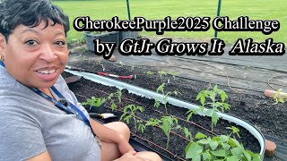 #cherokeepurple2025 Transplant Update