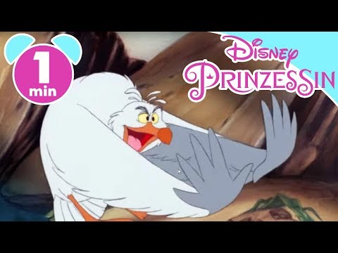 ARIELLE: Lieblingsszene - Scuttle, der Modeberater | Disney Junior