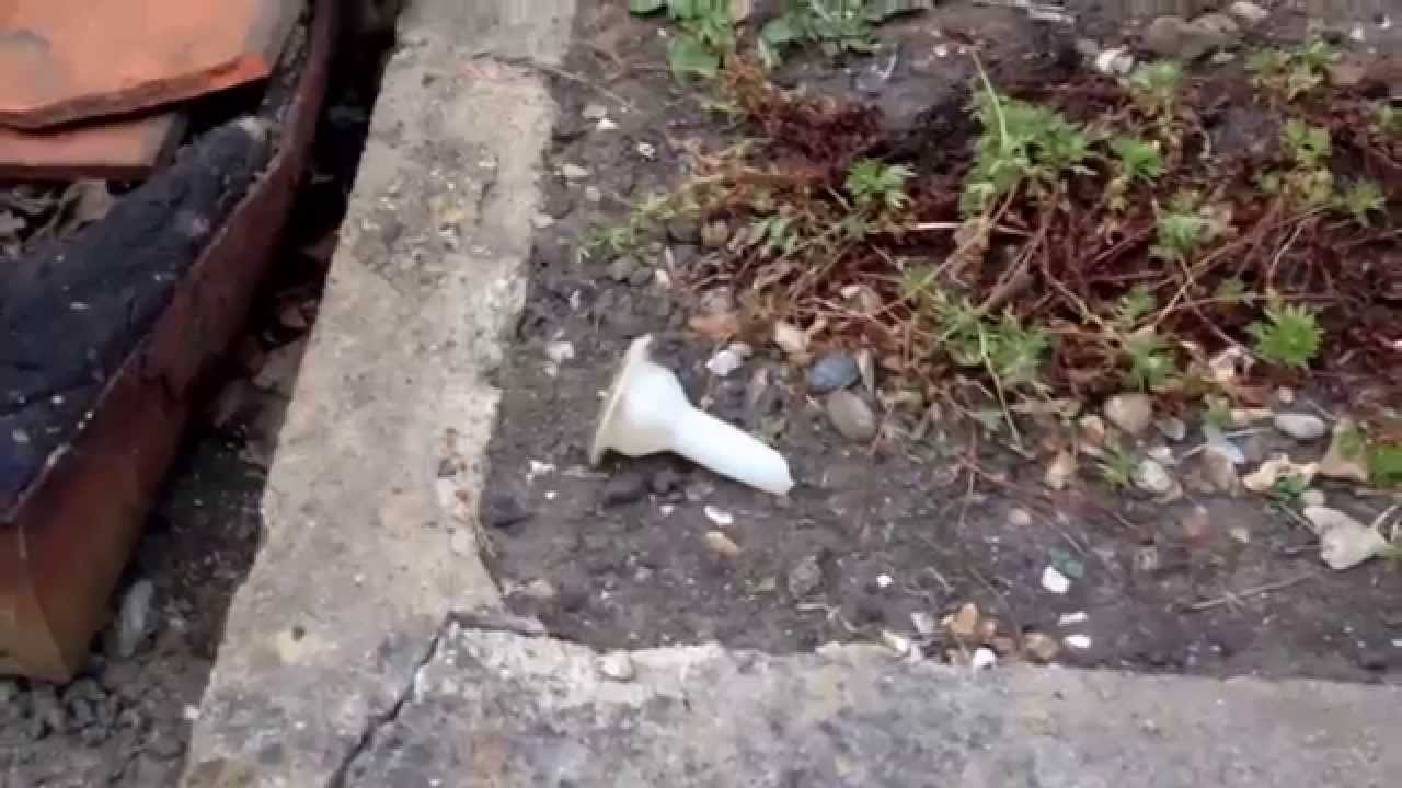 Watch video Mixing Mortar For Roughneck mortar Gun Now Mixing Mortar For Roughneck mortar Gun