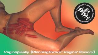 Peaches- Vaginoplasty (Planningtorock &#39;Vagina Rework&#39;)
