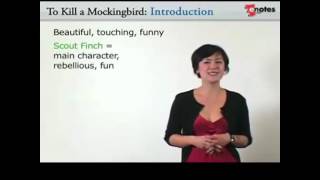 To Kill a Mockingbird Video Study Guide