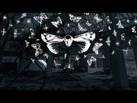 A**ro Cologne - Sucks (Official Visualizer)  |  FXD020