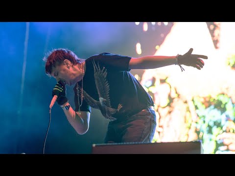 The Voidz - Live 2019 [HD] [Full Set] [Live Performance] [Concert] [Complete Show]
