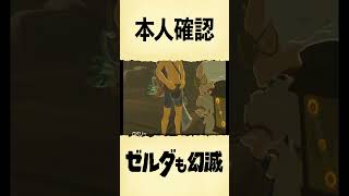 本人確認【ゼルダの伝説BotW】#shorts #ゲーム実況