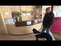 Blinden en slechtzienden mogen niet meer met hun hond geweigerd worden in openbare ruimten. 'Dit ...