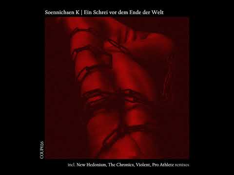 PREMIERE: Soennichsen K - Ein Schrei Vor Dem Ende (Violent Remix) (COUP)