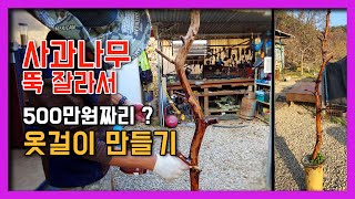 죽은 사과나무 뚝 잘라서 500만원 줘도 안 파는 나만의 옷걸이 만들기