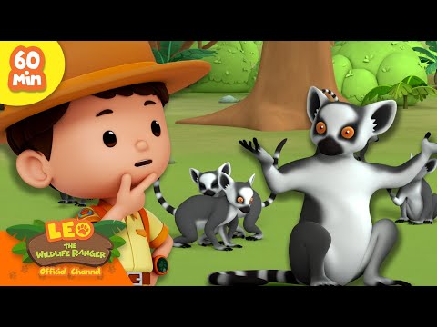 Witness21 Editor  2024 10 05