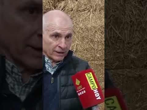 Expo Suipacha 2026 ✅ Desde la Sociedad Rural de Suipacha, Prov. de Buenos Aires. Jura a Campo, ACHA.