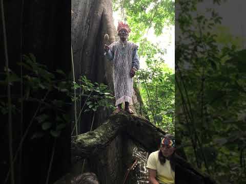 Pajé Biscu Huni Kuin