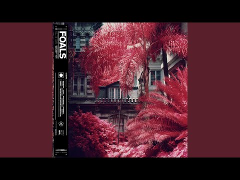 Foals