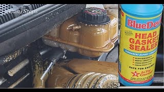 How To Fix Coolant Mixing With Engine Oil in Mercedes W163 | Milkshake Gunk | BlueDevil