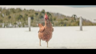 Crossroads | KFC Funny Commercial