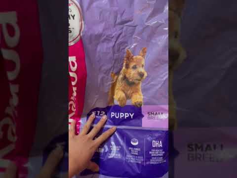 Shopee Refund Expired Dog Food