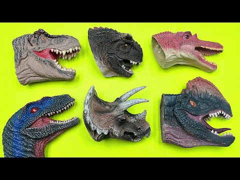6 Dinosaur Heads- Tyrannosaurus Rex, Spinosaurus, Mosasaurus, Velociraptor