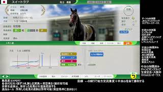 ウイニングポスト10 目指せ地方交流重賞＆中央GⅠ全制覇！札無し史実馬、架空馬限定プレイ