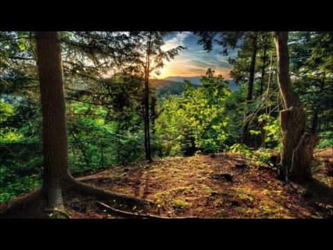 Rhylex feat Paul Aiden - Live Again