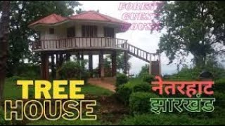 preview picture of video 'Tree House Netarhat .... Your accommodation within the periphery of Forest .... Yet very cozy'