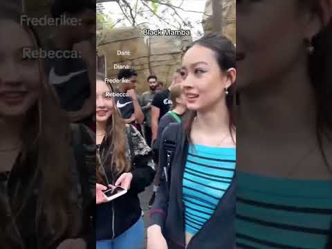 Phantasialand✨🦋