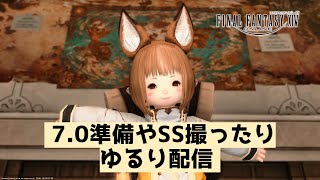 【FF14】アプデ直前！！7.0準備やSS撮ったりゆるり配信【実況配信】