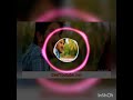 Dulqer Salman Mass Dialogue About Friendship