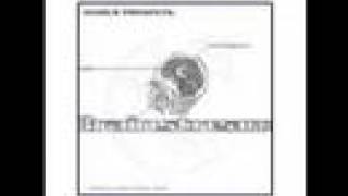 Canibus - U Didnt Care (Remix)