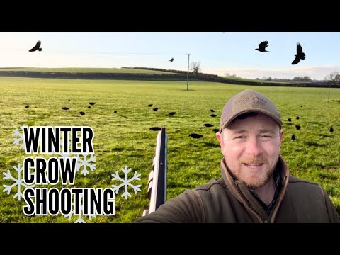 CROW SHOOTING | WHAT YOU NEED TO SHOOT CROWS | MY PRE-SEASON KIT CHECK LIST