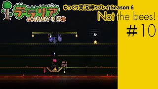 【テラリアPC版】#10 / S6:Not the bees!【ゆっくり実況/しばりプレイ】