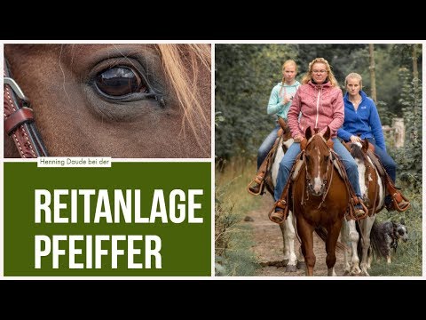 download lagu mp3 mp4 Reitanlage Hamburg, download lagu Reitanlage Hamburg gratis, unduh video klip Reitanlage Hamburg