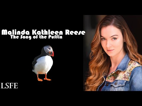 Lyrics Show For Everyone: MALINDA - The Song of the Puffin