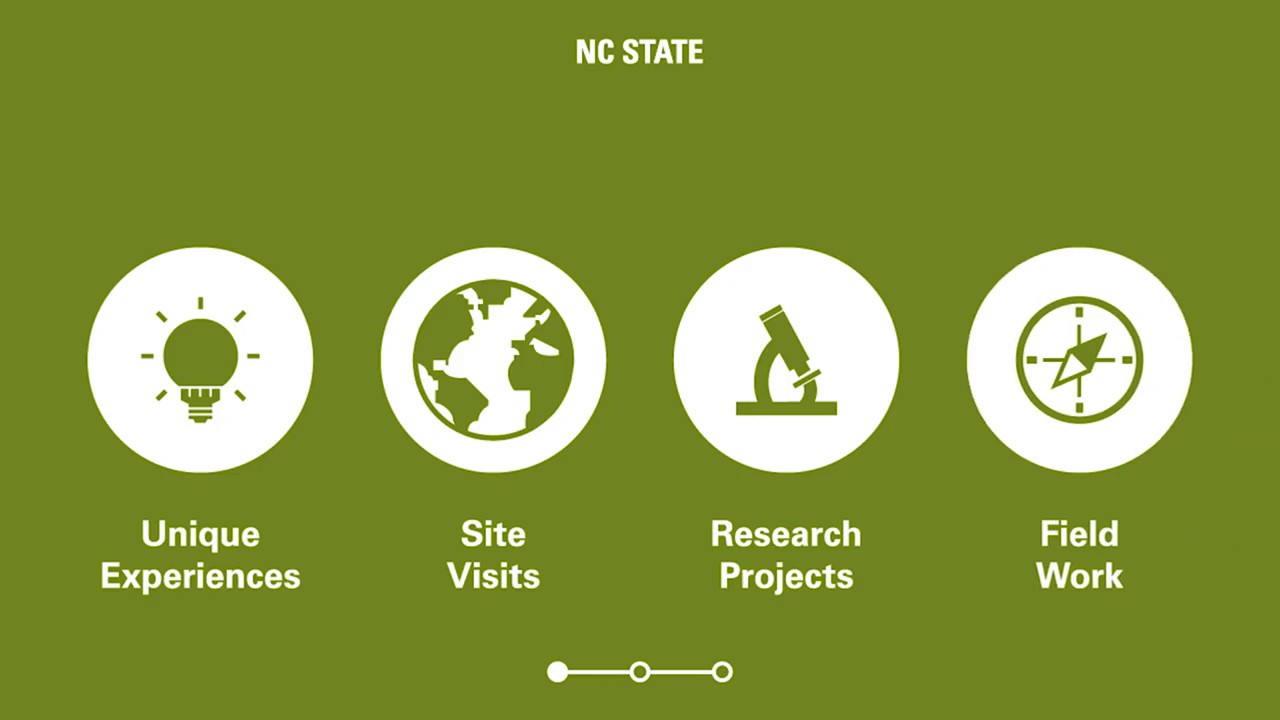 Study Abroad 101: Short-Term Programs