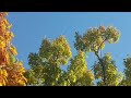 Autumn Leaves - Andy Williams