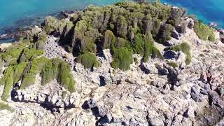 Bozyazı nagidos adası