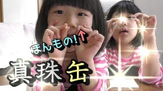 【真珠缶】真珠が採れる缶詰!?本物の貝から本物の真珠をゲット!! / We got real pearl.