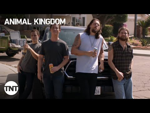 Animal Kingdom: The Cody boys have a little fun in Oceanside - Season 5, Episode 9 [CLIP] | TNT