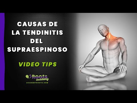 ¿Qué Causas Pueden Provocar Una tendinitis En El Hombro?