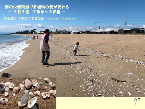 スイミングプールの塩素に代わる製品は何ですか?革新的なソリューションとは何ですか?  庭園