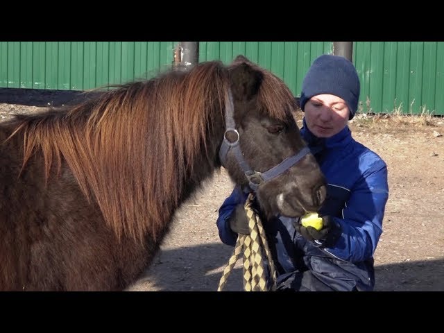 В Нурлате конно-спортивной школе быть