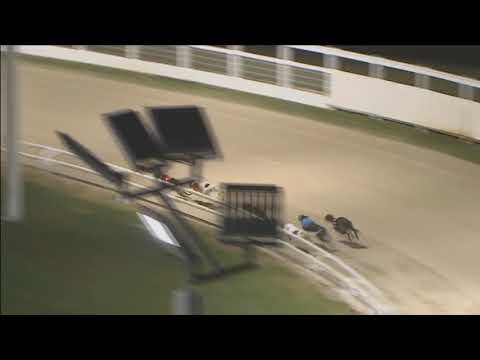 Knockard Spring Wins Towcester Race 6 - 10th March 2018 Watch Now!!! (Official Video)